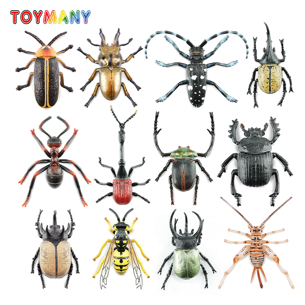 Sandbox Play Set - Toymany Simulation Insect & Beetle Animal