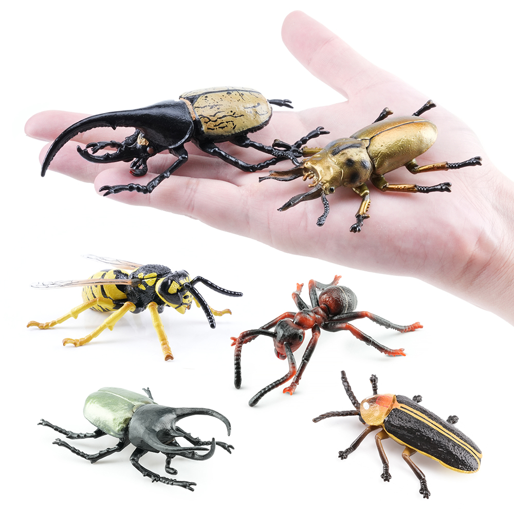 Toymany Simulation Insect & Be – Sandbox Play Set recenzja i cena