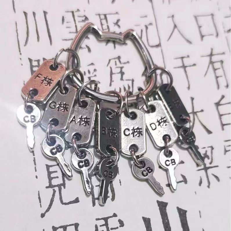 1Set Dollhouse Miniature Keys  – Kids Toys Rental recenzja i cena